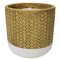 Trendspot Trendspot Assorted Ceramic 4 in. H Reed Citronella Candle CC00318N-Q3 - alternate 3